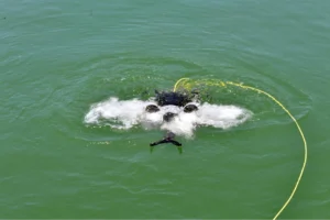 Denizlere dronlu denetim