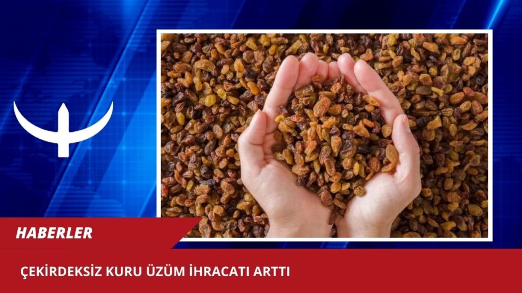 Çekirdeksiz kuru üzüm ihracatı arttı