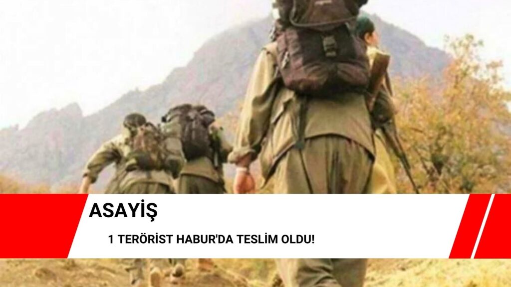1 terörist Habur’da teslim oldu!