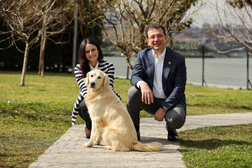 Sokakta Hayatta Kalma Şansı Olmayan Köpekler için Nihai Bir Kurtuluş