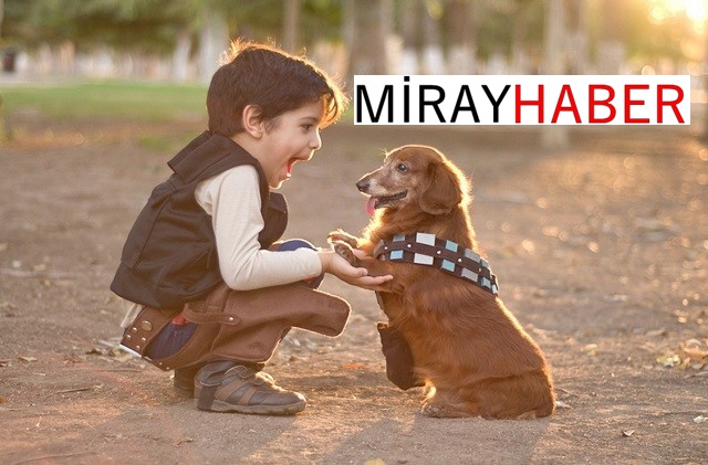 İNSANLAR DA HAYVAN SEVGİSİ