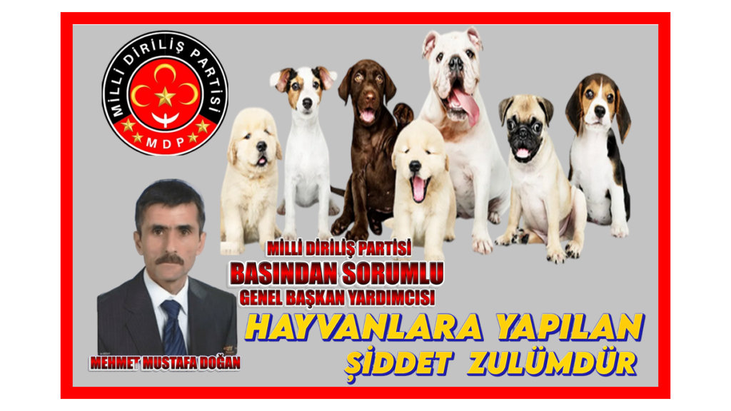 Hayvanlara uygulanan şiddet zulümdür