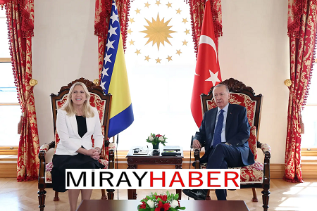 Cumhurbaşkanı Erdoğan, Bosna Hersek Devlet Başkanlığı Konseyi Başkanı Sviyanoviç ile görüştü