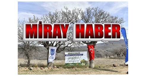 AMACIMIZ ATALARIMIZDAN KALAN FISTIK AĞAÇLARINA SAHİP ÇIKMAK