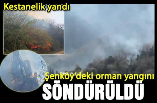 Yalova Şenköy Soğuksu da Yangın
