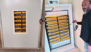 Isparta’da yaşayan Gökhan Toprak’a yumurtanı getir, civcivini götür – Birlik Haber Ajansı