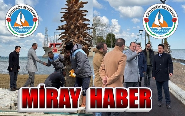 Sokak Hayvanları Geçici Bakımevi’nde incelemelerde bulundu.