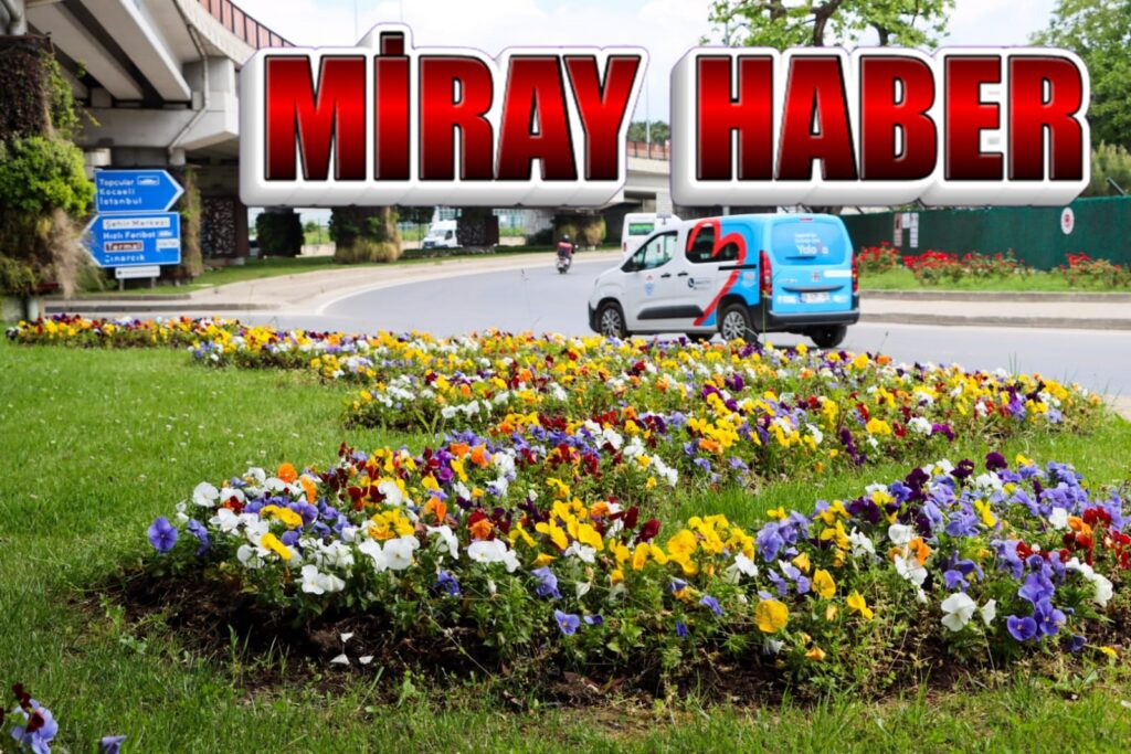 YALOVA ÇİÇEK KENTİ RENK RENK