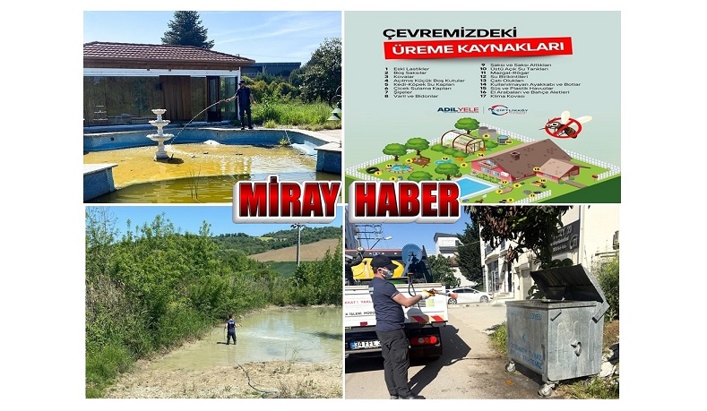 YALOVA ÇİFLİKKÖY DE YAZ SEZONUNA HAZIRLIK SİVRİSİNEK VE HAŞERE İLAÇLAMASI