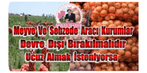 Meyve Ve Sebzede Aracı Kurumlar devre dışı bırakılmalıdır Ucuz Almak İsteniyorsa