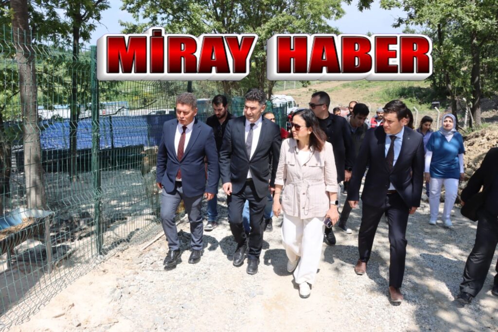 VALİ KAYA’DAN SOKAK HAYVANLARI ÇALIŞMLARI İNCELEDİ