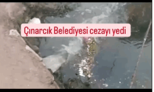 ÇINARCIK BELEDİYESİ ÇEVREYİ KİRLETTİ CEZAYI YEDİ