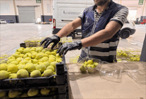 İzmir Büyükşehir Belediyesi Sosyal Yardım Takip Sistemi’nde