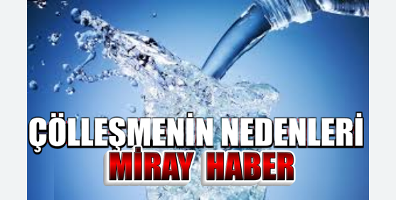 ÇÖLLEŞMENİN NEDENLERİ