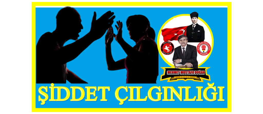 ŞİDDET ÇILGINLIĞI