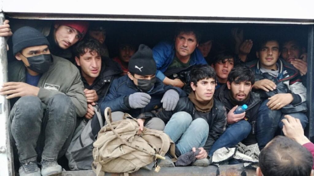 81 ilde eş zamanlı pperasyon: 169 göçmen kaçakçısı yakalandı – Birlik Haber Ajansı