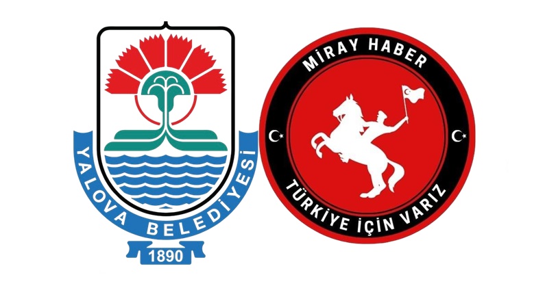 YALOVA SAHİLİN DE İZİNSİZ KARACA GAFE  VE KANUNLARA AYKIRI AĞAÇ KESİMİ YAPMIŞTIR