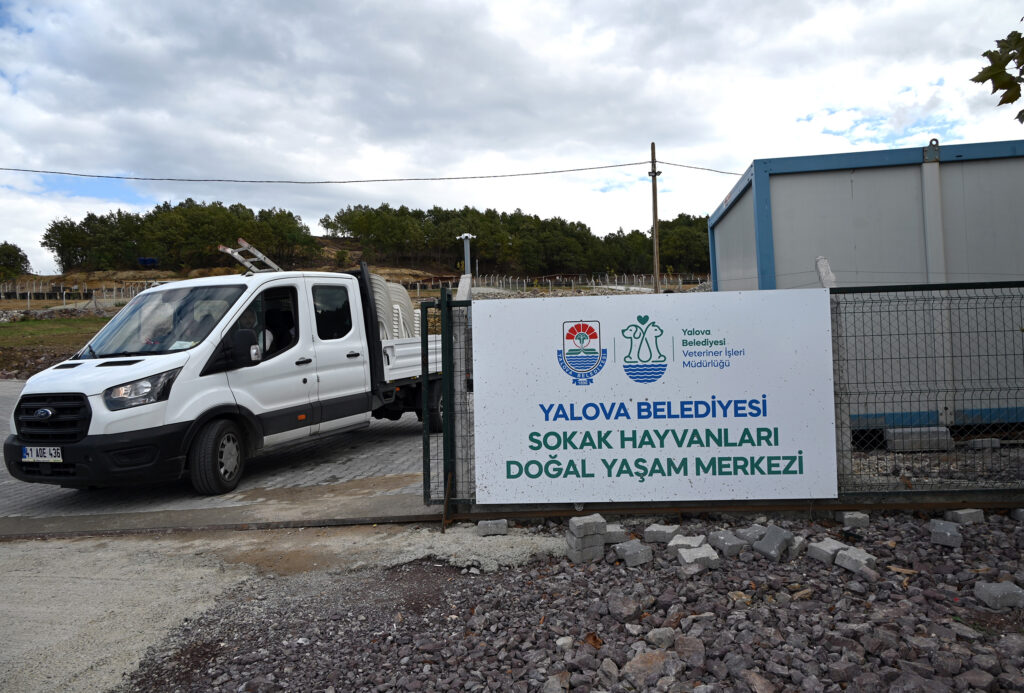 BAŞKAN GÜREL :SOKAK HAYVANLARI EMANETİMİZ