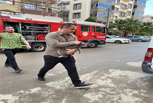 Yağmur Suyu Kanalı içinde Köpek Mahsur Kalan Zarar Görmeden Çıkartıldı