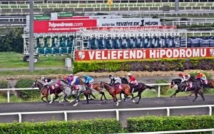 Yalova 9. Geleneksel Yürüyen Köşk Koşusu