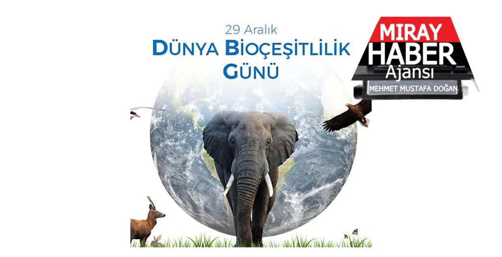 29 Aralık Dünya Biyoçeşitlilik Günü Kutlu Olsun!!