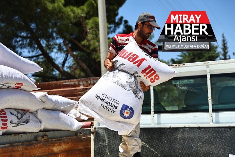 Veterinerlik hizmeti sayesinde de hayvan üreticilerine önemli bir destek sağlandı.
