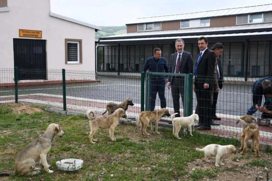 Hayvanları Koruma Kanunu ‘Resmi’leşti!