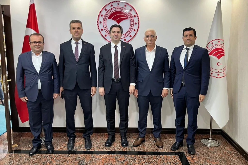 Zeytin hasadı öncesi Marmarabirlik’ten bakanlık nezdinde görüşme… İhracat kısıtlaması kaldırılmalı!