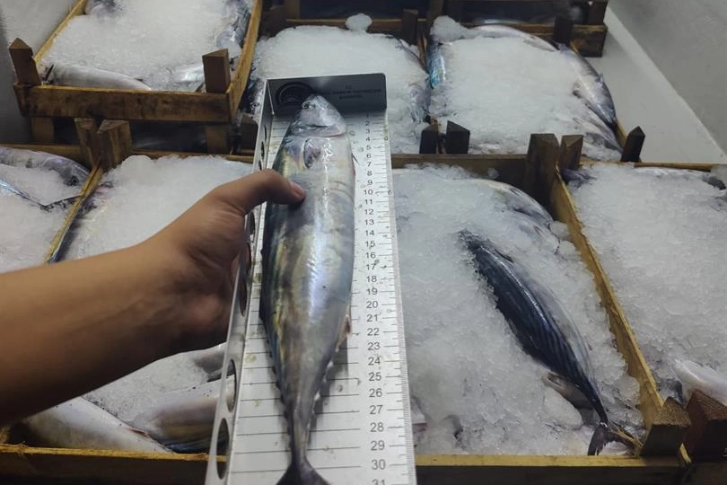 Bursa’da su ürünlerinde denetimler sürüyor