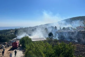 Yalova Armutlu’da orman yangını kontrol altında