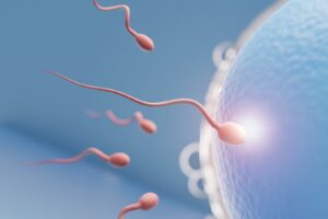 İnfertilite ( Kısırlık ) Sonrası Tedavi Biçimi Çok Önemli
