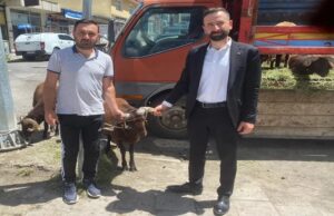 KOYUN SAYISI ARTMIŞ DİYORLAR DOĞRU MU?!..