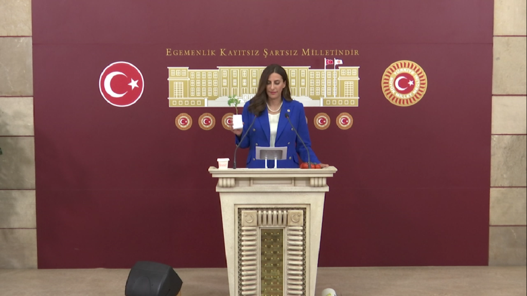 Topraklarımızın, %65’i Çölleşme ve Erozyona Hassas Bir Konumda