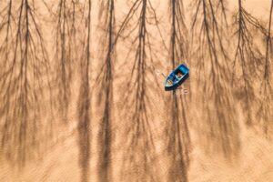 21’inci Devlet Fotoğraf Yarışması sonuçlandı