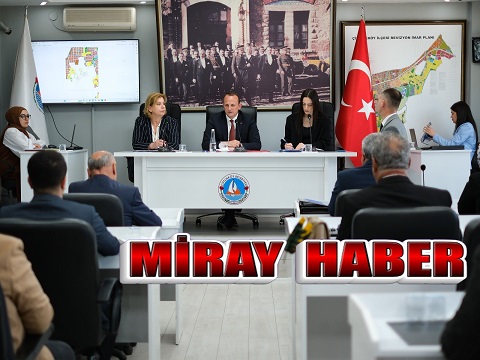 kedi, Köpek Ve Gelincikler için Mikroçip Bedeli Toplantısı