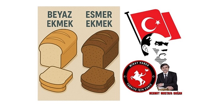 BEYAZ EKMEK İLE ESMER EKMEK FARKI NEDİR