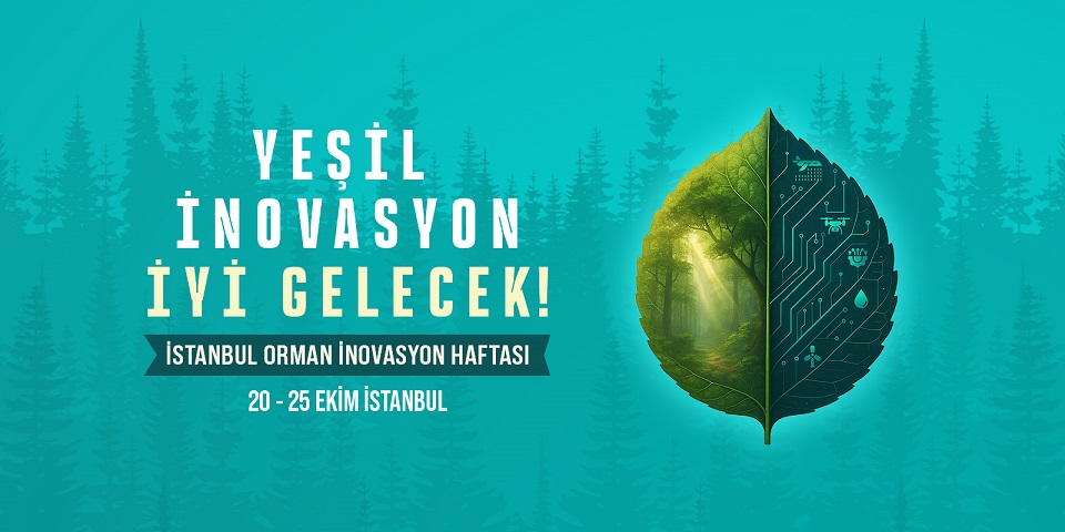 Küresel ormancılık politikalarının geleceğini şekillendirecek