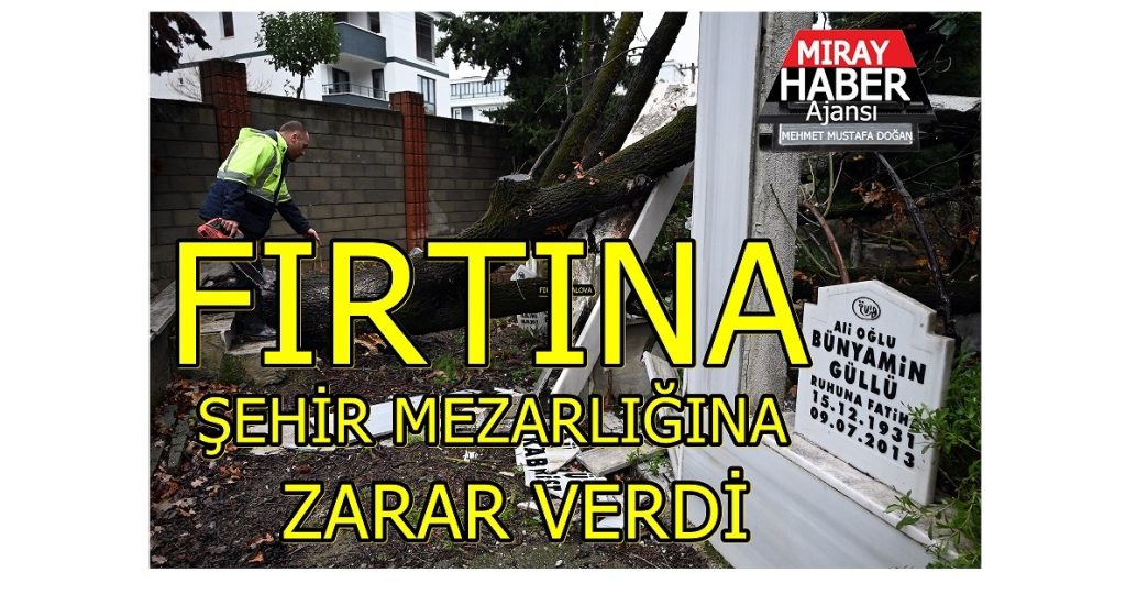 Yalova’da Etkili Olan Şiddetli Fırtına Bazı Ağaçlara Ve Mezarlık Alanında Zararlar Verdi