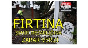 Yalova’da Etkili Olan Şiddetli Fırtına Bazı Ağaçlara Ve Mezarlık Alanında Zararlar Verdi