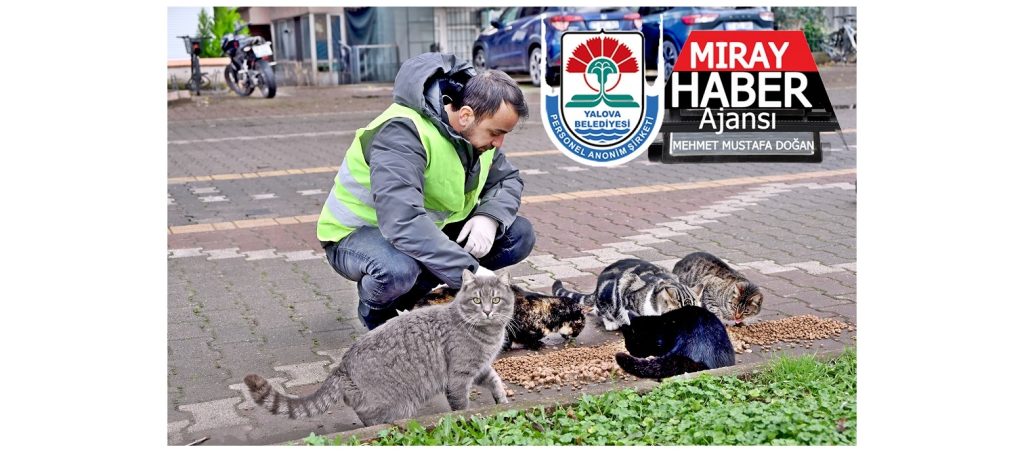 MAHALLE VE PARKLARA CAN DOSTLARIMIZ İÇİN SIĞINAK VE MAMA DESTEĞİ YAPALIM