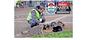 MAHALLE VE PARKLARA CAN DOSTLARIMIZ İÇİN SIĞINAK VE MAMA DESTEĞİ YAPALIM