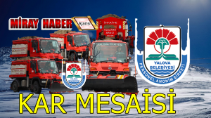 Yalova Belediyesi, kış Kar çalışması