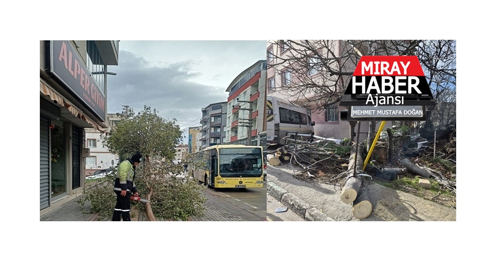 Bursa Büyükşehir lodosla kentte Çalışma yürüterek olaylara hızlıca müdahale etti