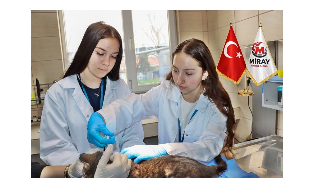 Hayvan sağlığı, bakım ve tedavi süreçleri, klinik hijyen uygulamaları