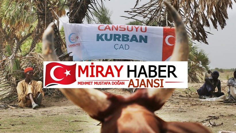 Gazze ve Filistin’e Özel “Konserve” Formülü