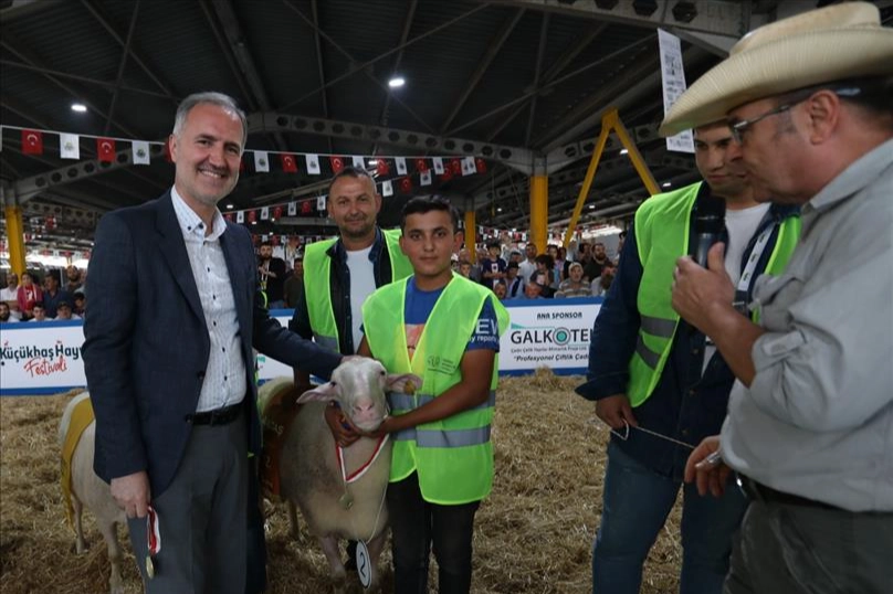 İnegöl’de yerli tavuk ırkları ile koçlar podyuma çıkacak